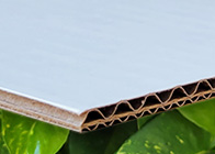 Plain Biodegradable Mount Boards