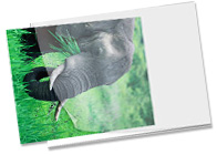 Laminating Pouch Mounting Boards