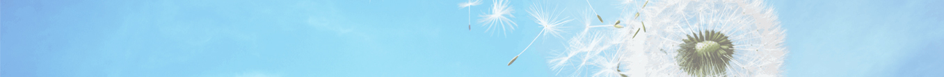 Air Purifiers & Replacement Filters