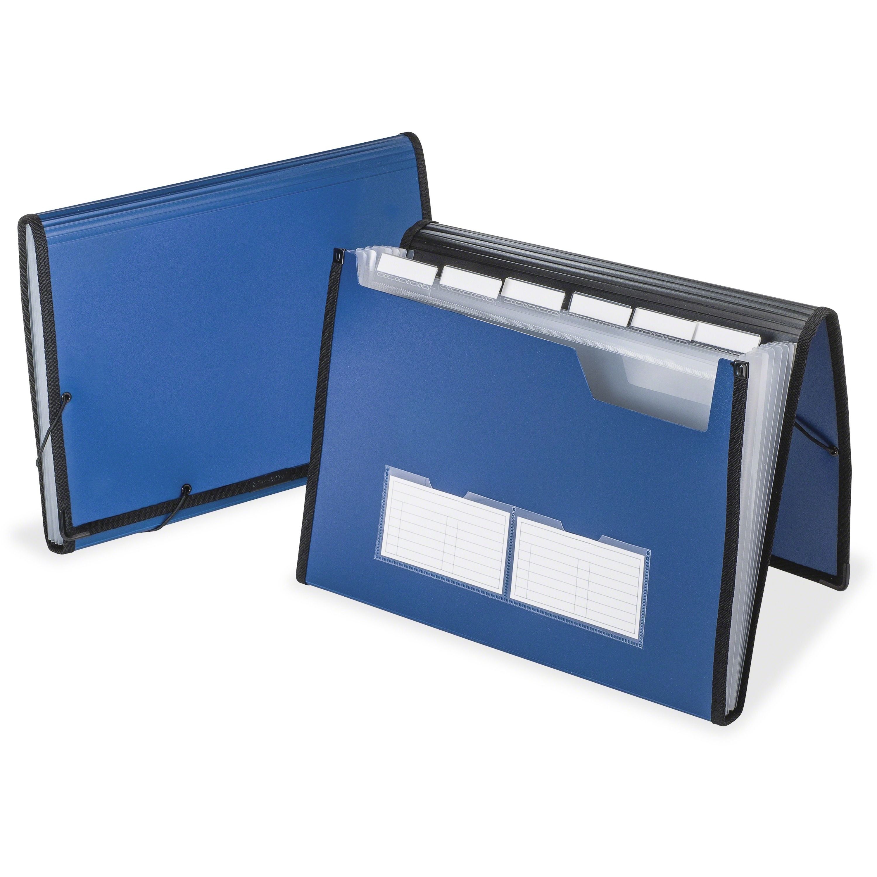 Pendaflex 7-Pocket Professional Expanding Organizer [Letter-Size, Blue, With 1/6-Cut Tabs] -1/Each Image 1