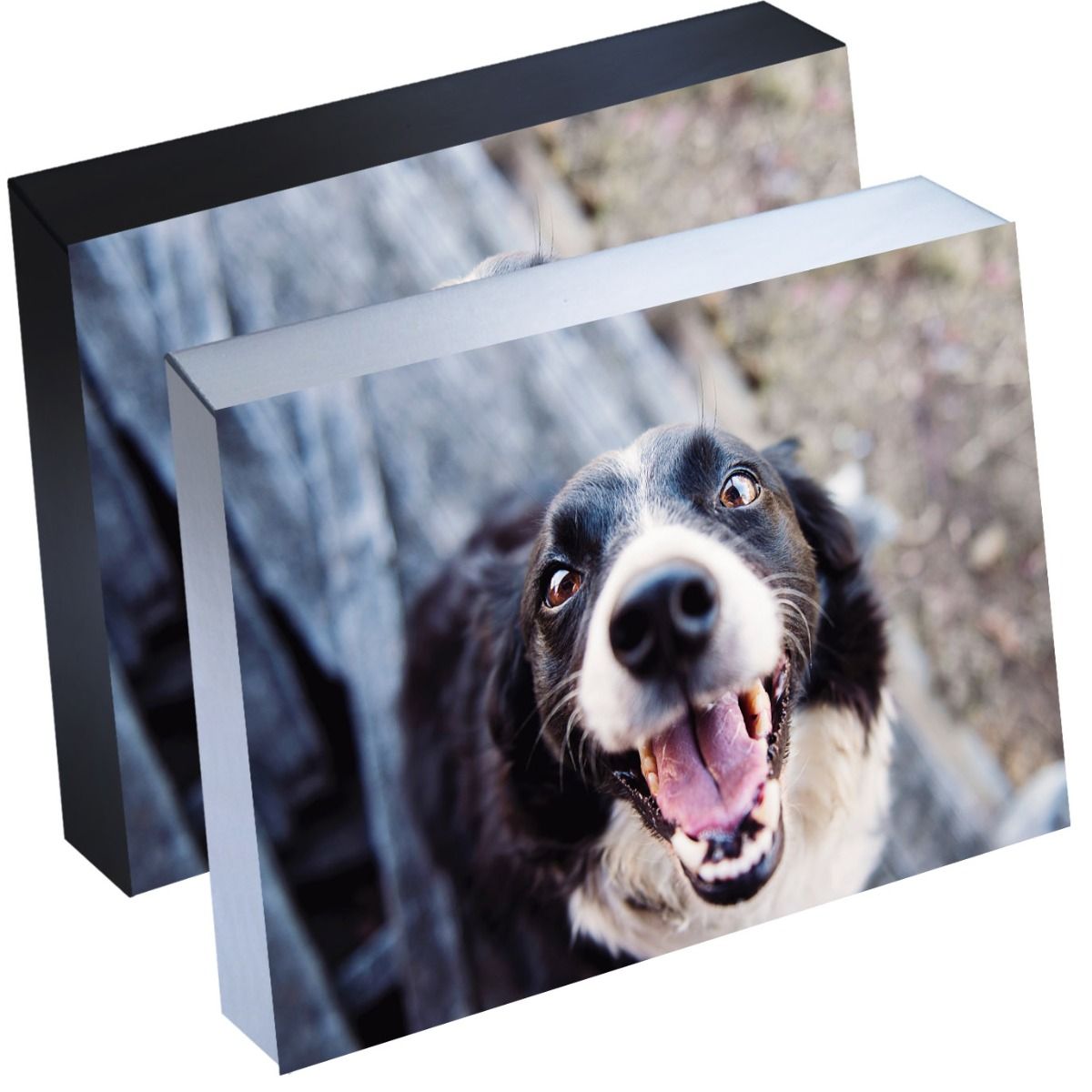 6" x 8" Silver Linings™ Self-Adhesive Photo Mounting Blocks (10 Pack)