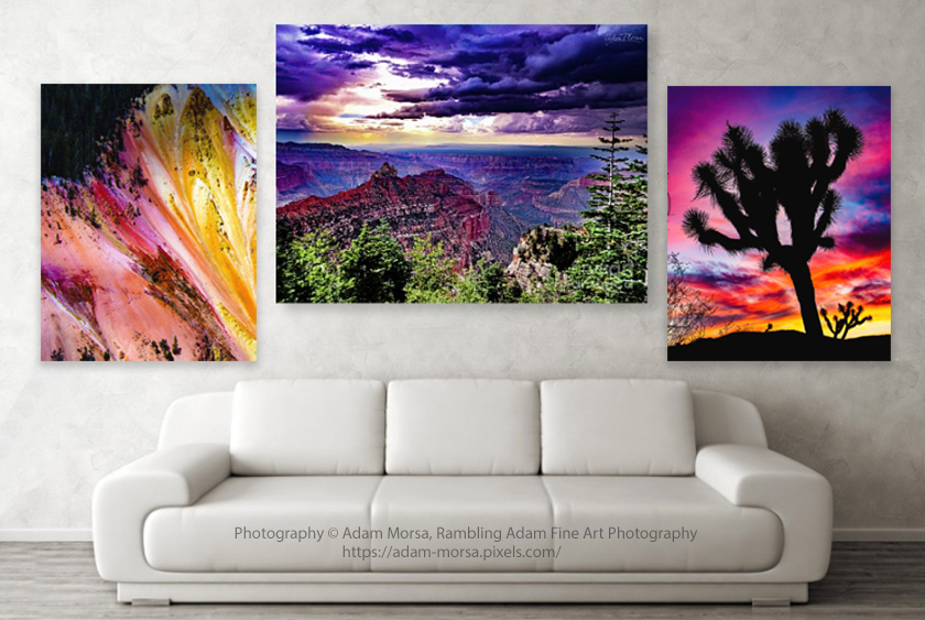 Canvas Wrapped Landscape Fine Art featuring vibrant scenes of nature, including a colorful canyon, a majestic sunset over the Grand Canyon, and a striking silhouette of a Joshua tree.