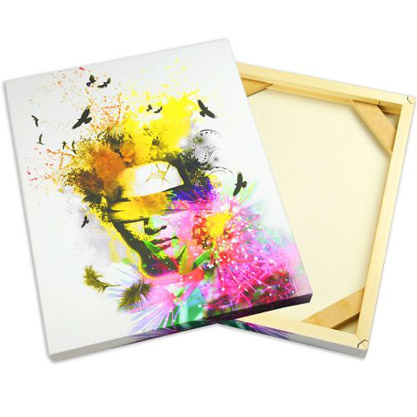 Vibrant artwork displayed on a GoFrame Canvas Stretching Kit, showcasing a blend of abstract colors and nature-inspired elements.
